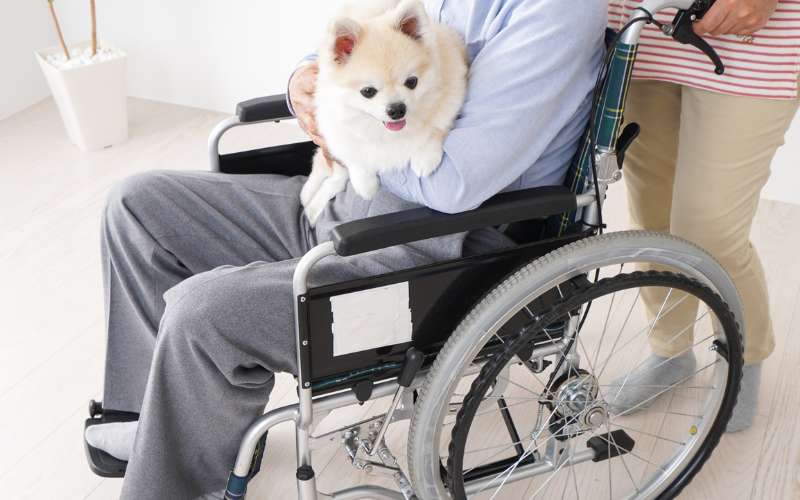 ペット共生型高齢者住宅